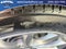 2023 Acura TLX Base Base