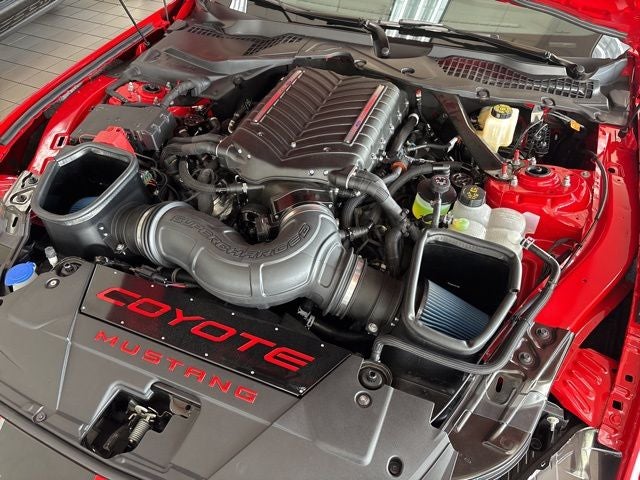 2024 Ford Mustang GT Premium WHIPPLE SUPERCHARGED