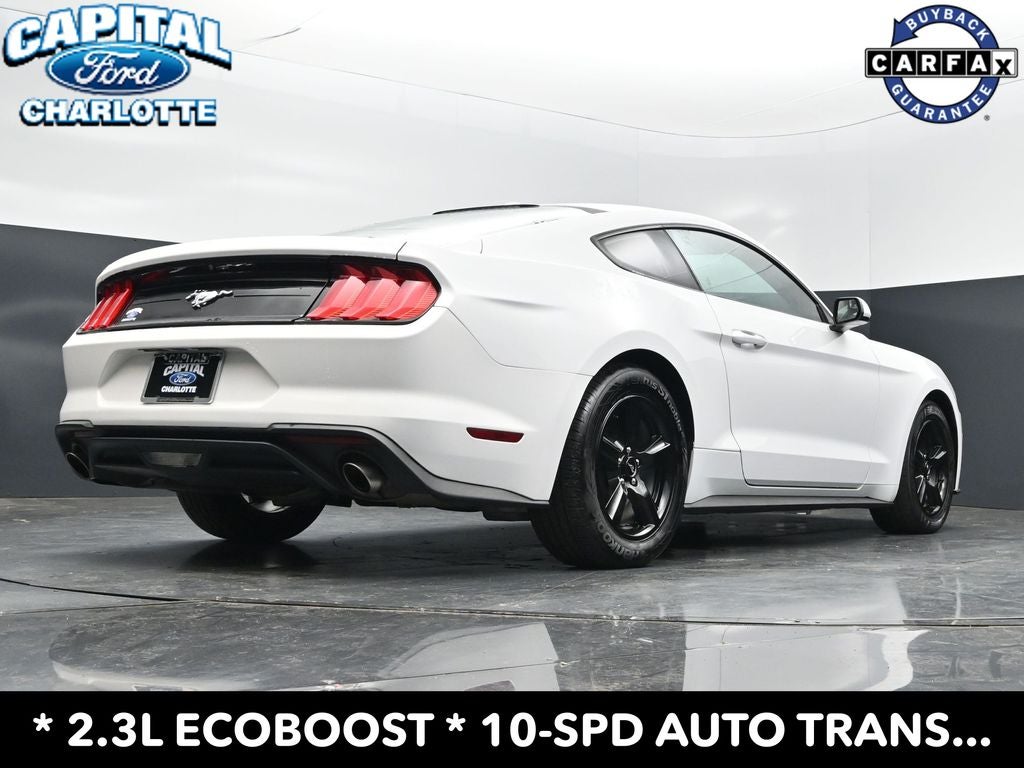 2019 Ford Mustang EcoBoost