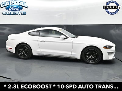2019 Ford Mustang EcoBoost