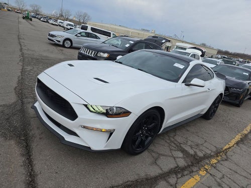 2019 Ford Mustang EcoBoost