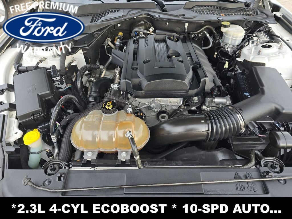 2019 Ford Mustang EcoBoost
