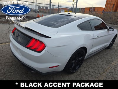 2019 Ford Mustang EcoBoost