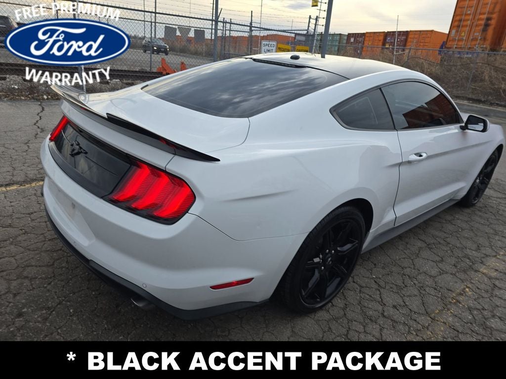 2019 Ford Mustang EcoBoost
