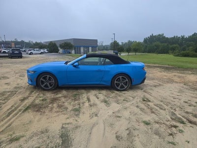 2024 Ford Mustang EcoBoost Premium