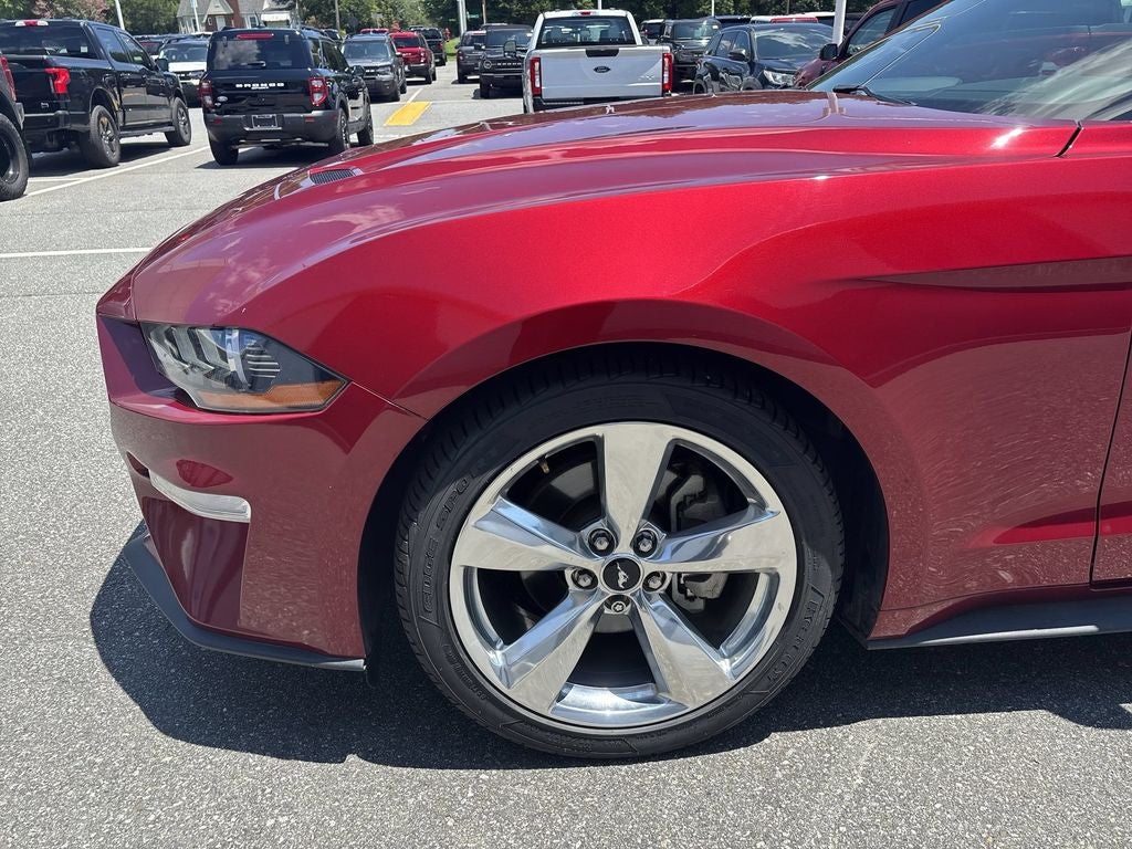 2019 Ford Mustang EcoBoost