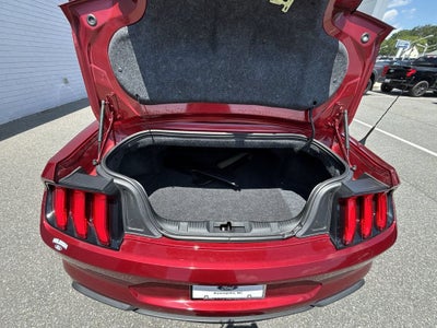 2019 Ford Mustang EcoBoost