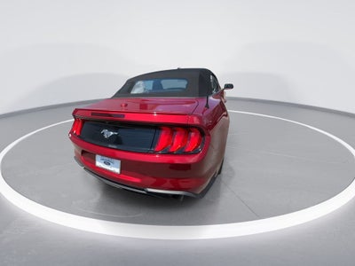 2019 Ford Mustang EcoBoost
