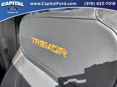 2025 Ford Expedition Tremor
