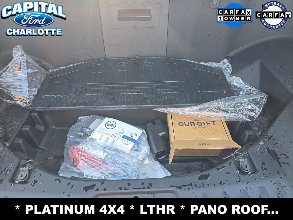 2025 Ford F-150 Lightning Platinum