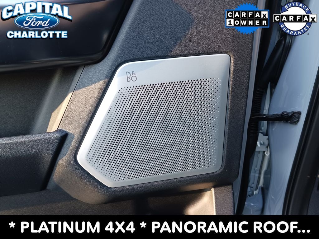 2025 Ford F-250SD Platinum