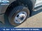 2025 Ford F-450SD XL DRW