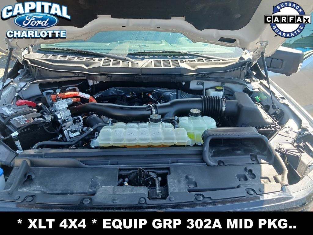 2024 Ford F-150 XLT