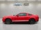 2011 Ford Mustang Shelby GT500