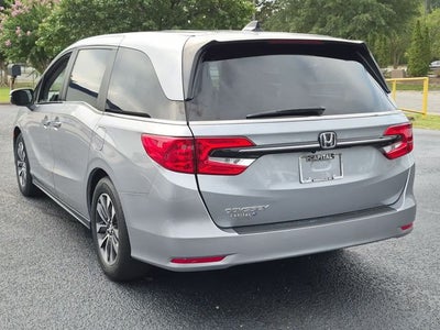 2024 Honda Odyssey EX-L