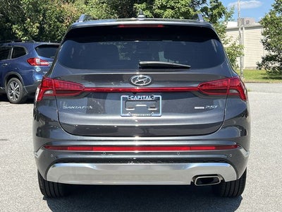 2023 Hyundai Santa Fe Calligraphy