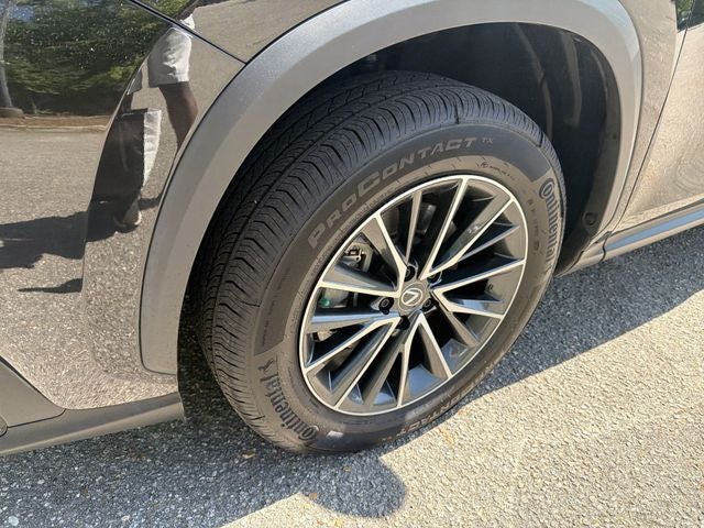 2024 Lexus NX 350 Premium