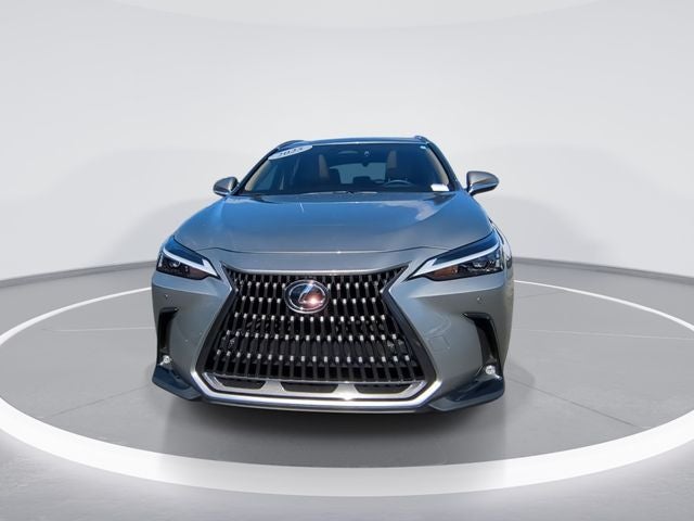 2025 Lexus NX 350h Premium
