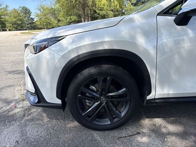 2024 Lexus NX 450h+ Luxury