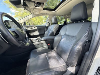 2024 Lexus NX 450h+ Luxury