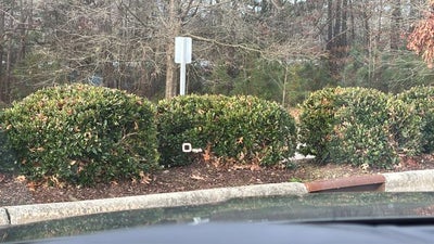 2023 Audi S5 Sportback Prestige quattro