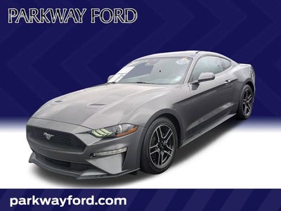 2022 Ford Mustang EcoBoost