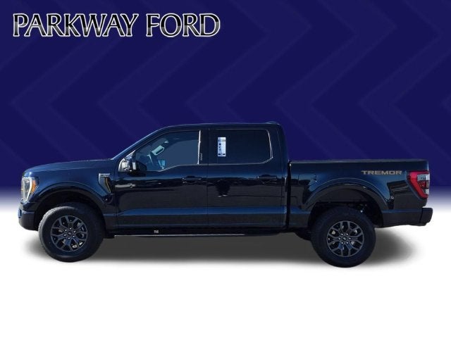 2021 Ford F-150 Tremor