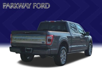 2023 Ford F-150 Platinum