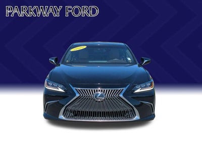 2019 Lexus ES 350 Luxury