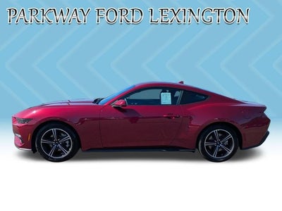 2025 Ford Mustang EcoBoost