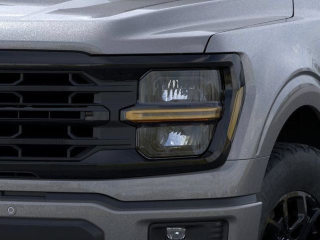 2026 Ford F-150 XLT Valor Package