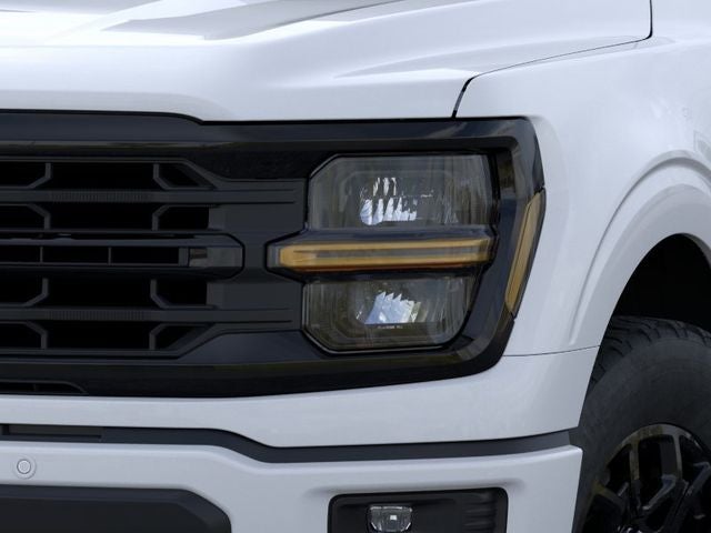 2026 Ford F-150 XLT Valor Package